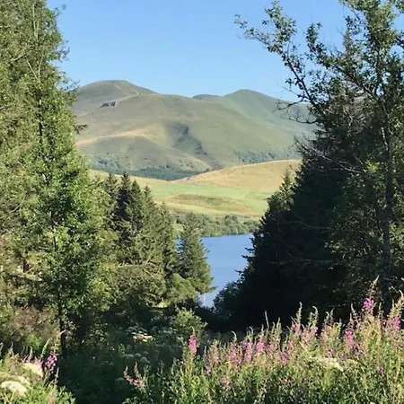 דירה T3 Avec Terrasse Et Wifi Au Mont-dore - Fr-1-608-178 *