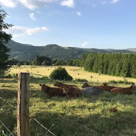 T3 Avec Terrasse Et Wifi Au Mont-dore - Fr-1-608-178 شقة *