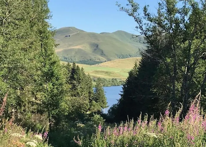 Appartement T3 Avec Terrasse Et Wifi Au Mont-dore - Fr-1-608-178 *