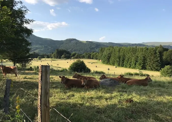 T3 Avec Terrasse Et Wifi Au Mont-dore - Fr-1-608-178 Appartement *