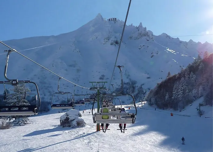 T3 Avec Terrasse Et Wifi Au Mont-dore - Fr-1-608-178 * Le Mont-Dore