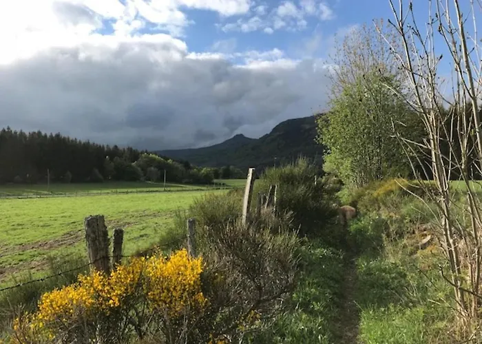 T3 Avec Terrasse Et Wifi Au Mont-dore - Fr-1-608-178 Le Mont-Dore