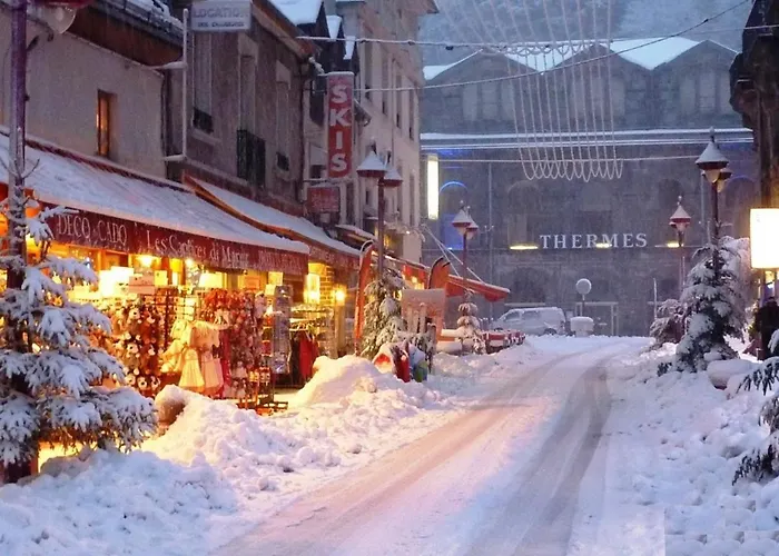 Appartement T3 Avec Terrasse Et Wifi Au Mont-dore - Fr-1-608-178 Le Mont-Dore